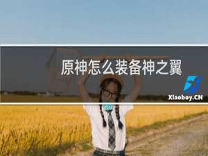 原神怎么装备神之翼