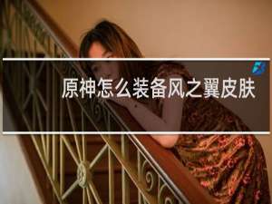 原神怎么装备风之翼皮肤