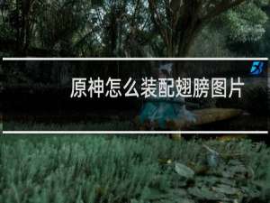 原神怎么装配翅膀图片