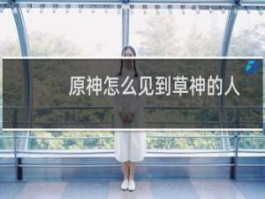 原神怎么见到草神的人