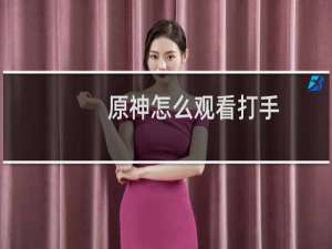原神怎么观看打手