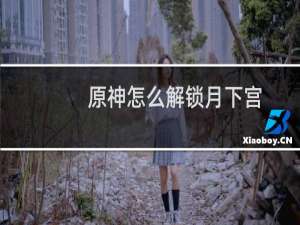 原神怎么解锁月下宫