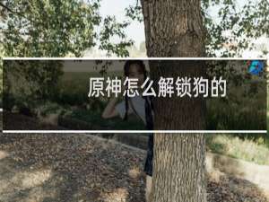 原神怎么解锁狗的