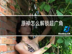 原神怎么解锁超广角