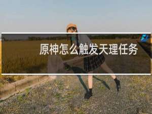 原神怎么触发天理任务