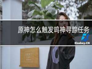 原神怎么触发鸣神寻踪任务