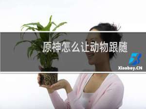 原神怎么让动物跟随
