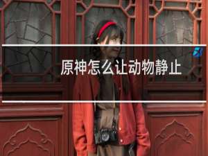 原神怎么让动物静止