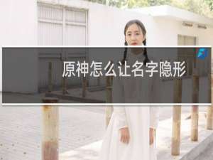 原神怎么让名字隐形
