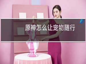 原神怎么让宠物随行