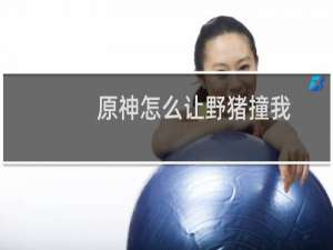 原神怎么让野猪撞我