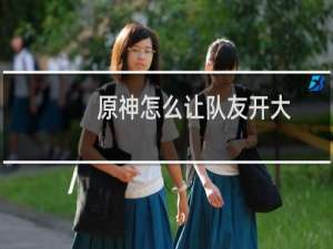 原神怎么让队友开大