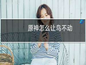 原神怎么让鸟不动