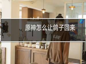 原神怎么让鸽子回来