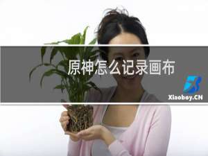 原神怎么记录画布