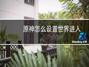 原神怎么设置世界进入