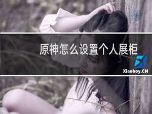 原神怎么设置个人展柜