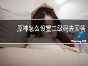 原神怎么设置二级码去回答