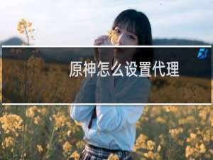 原神怎么设置代理