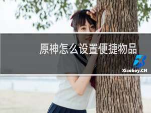 原神怎么设置便捷物品
