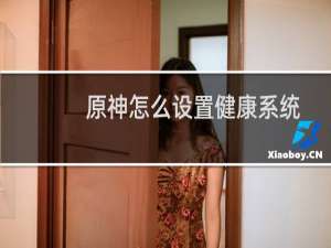 原神怎么设置健康系统