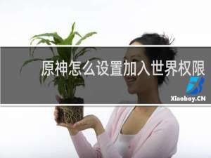 原神怎么设置加入世界权限