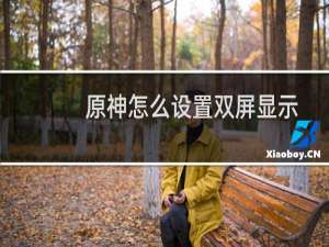 原神怎么设置双屏显示