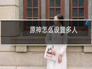 原神怎么设置多人