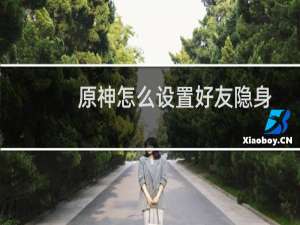 原神怎么设置好友隐身