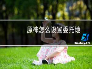 原神怎么设置委托地