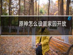 原神怎么设置家园开放