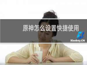原神怎么设置快捷使用