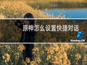 原神怎么设置快捷对话