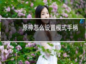 原神怎么设置模式手柄