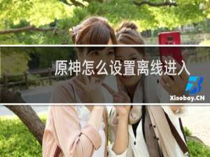 原神怎么设置离线进入