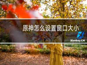原神怎么设置窗口大小