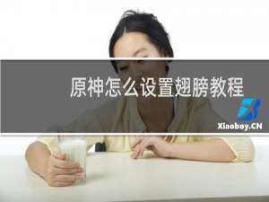 原神怎么设置翅膀教程