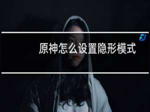 原神怎么设置隐形模式