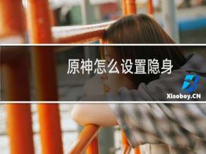 原神怎么设置隐身