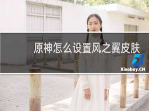 原神怎么设置风之翼皮肤