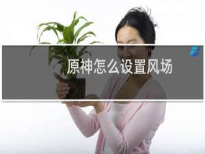 原神怎么设置风场