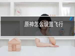 原神怎么设置飞行
