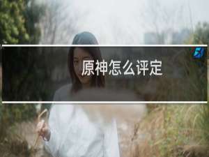 原神怎么评定