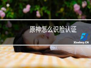 原神怎么识脸认证