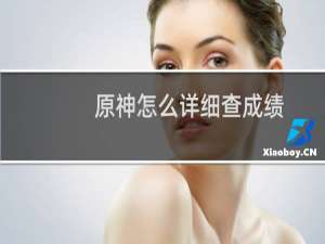 原神怎么详细查成绩