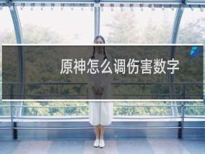 原神怎么调伤害数字