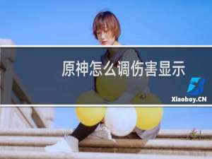 原神怎么调伤害显示