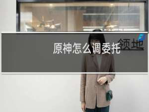 原神怎么调委托