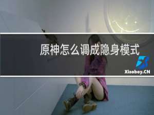 原神怎么调成隐身模式