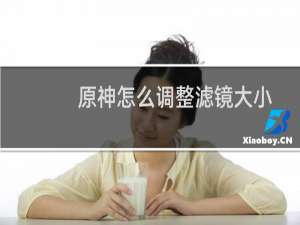 原神怎么调整滤镜大小